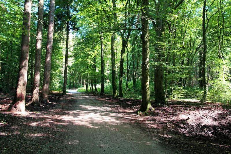 Chalet 't Veluws stulpje GENIET, ONTSPAN EN DROOM EVEN LEKKER WEG! Putten Buitenkant foto